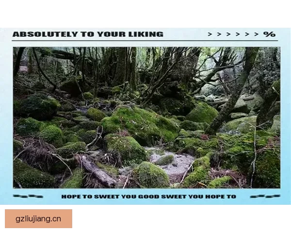 探索“青青草资源站”：知识的绿洲，灵感的源泉